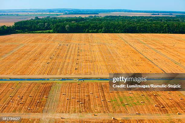 aerial view of farmland, slavonia, croatia - slavonia stock pictures, royalty-free photos & images