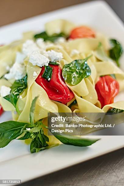 plate of freshly made pasta with roasted red peppers, basil, and goat cheese - basil ltd stock pictures, royalty-free photos & images