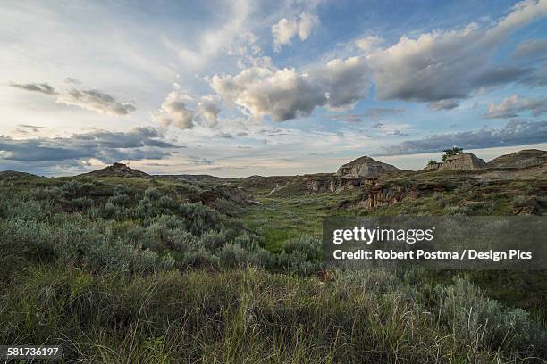 sunset over the grasslands at dinosaur provincial park - dinosaur provincial park stockfoto's en -beelden