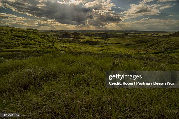 killdeer badlands, grasslands national park - グラスランズ国立公園 ストックフォトと画像