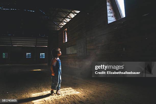 boy looking up at a window in a barn - kids standing stock pictures, royalty-free photos & images