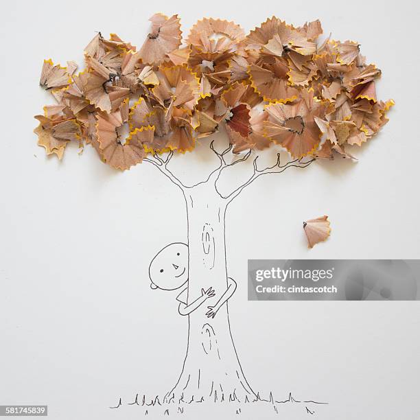 conceptual boy hugging a tree - pencil shavings stock pictures, royalty-free photos & images