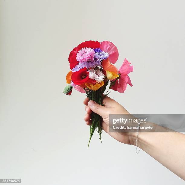 woman's hand holding bunch of wildflowers - mazzo di fiori foto e immagini stock