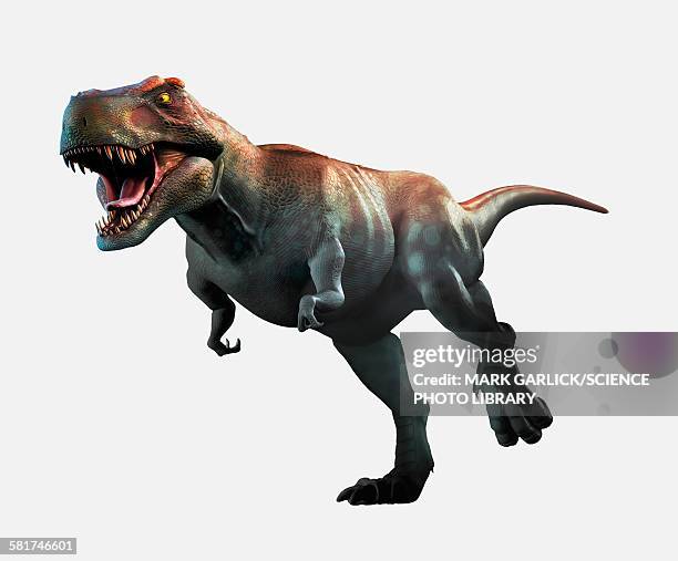 tyrannosaurus rex artwork - tyrannosaurus rex stock illustrations