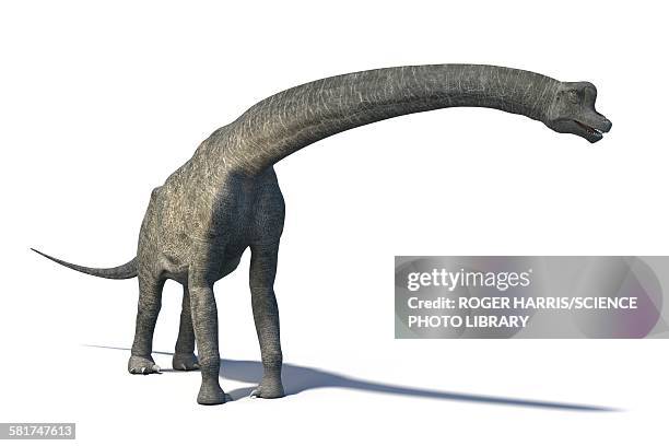 fotos e imágenes de Dinosaurios 3d - Getty Images fotos e imágenes de Dinosaurios 3d - Getty Images