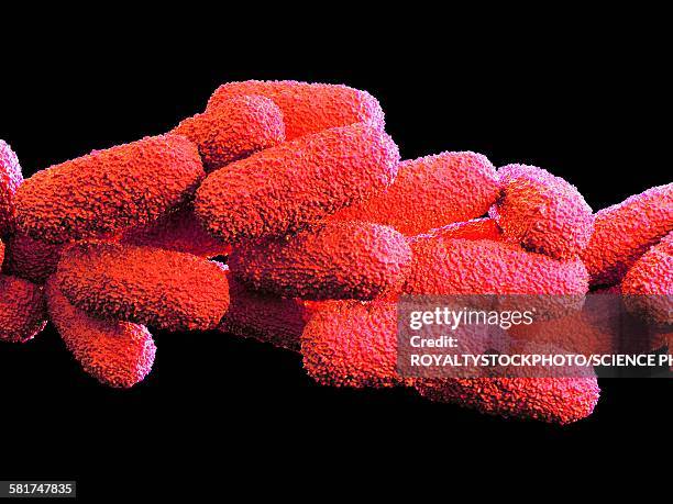 legionella pneumophila bacteria - legionella stock-grafiken, -clipart, -cartoons und -symbole