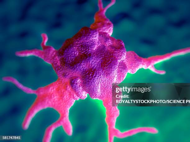 illustrazioni stock, clip art, cartoni animati e icone di tendenza di macrophage, illustration - macrofago