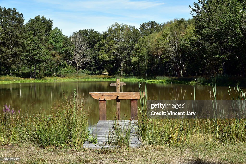 Sologne pond