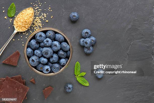 blueberries, chocolate and mint on a slate - turbinadosocker bildbanksfoton och bilder