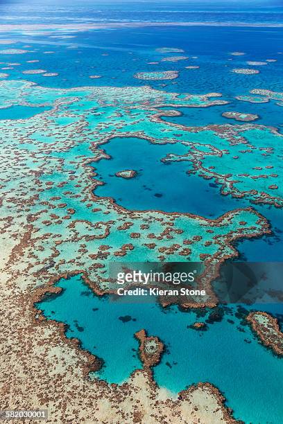 great barrier reef - great barrier reef australia ストックフォトと画像