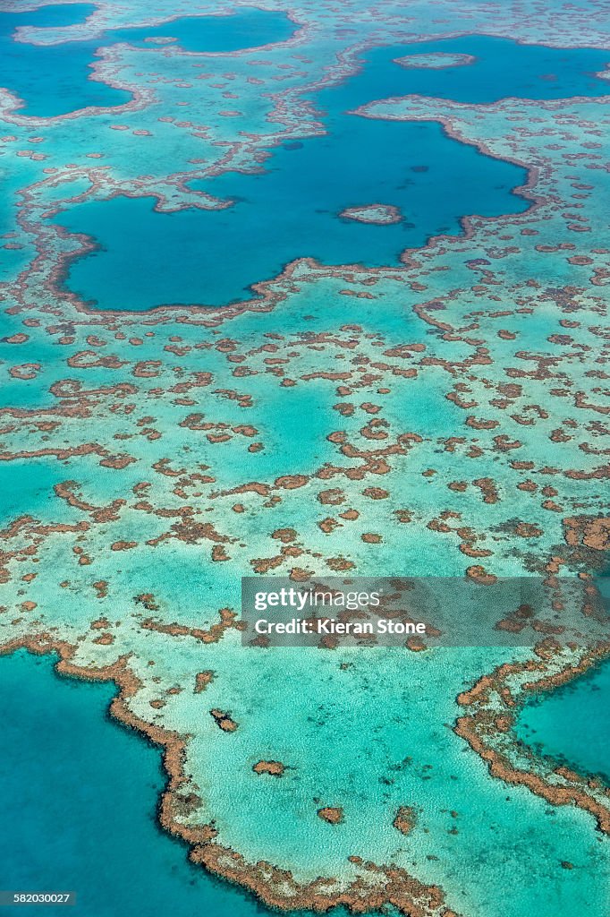 Great Barrier reef
