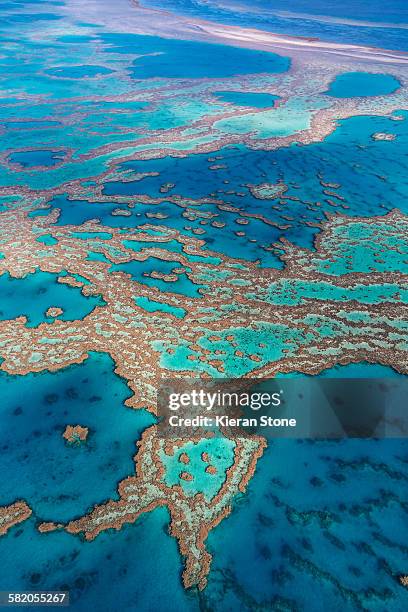 great barrier reef - hardy reef stockfoto's en -beelden