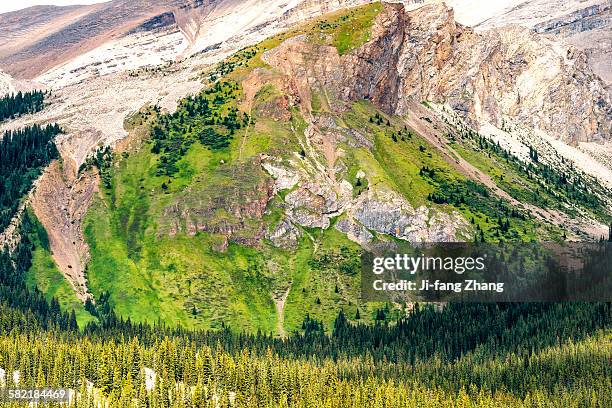 facets of the canadian rocky mountains - facets of the canadian rocky moutains stock pictures, royalty-free photos & images