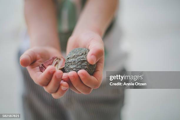 hands holding rocks - holding stone stock pictures, royalty-free photos & images
