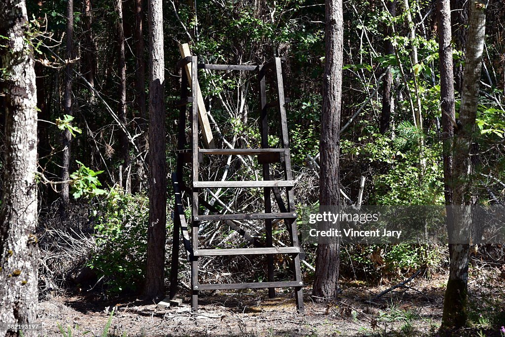 Hunting station