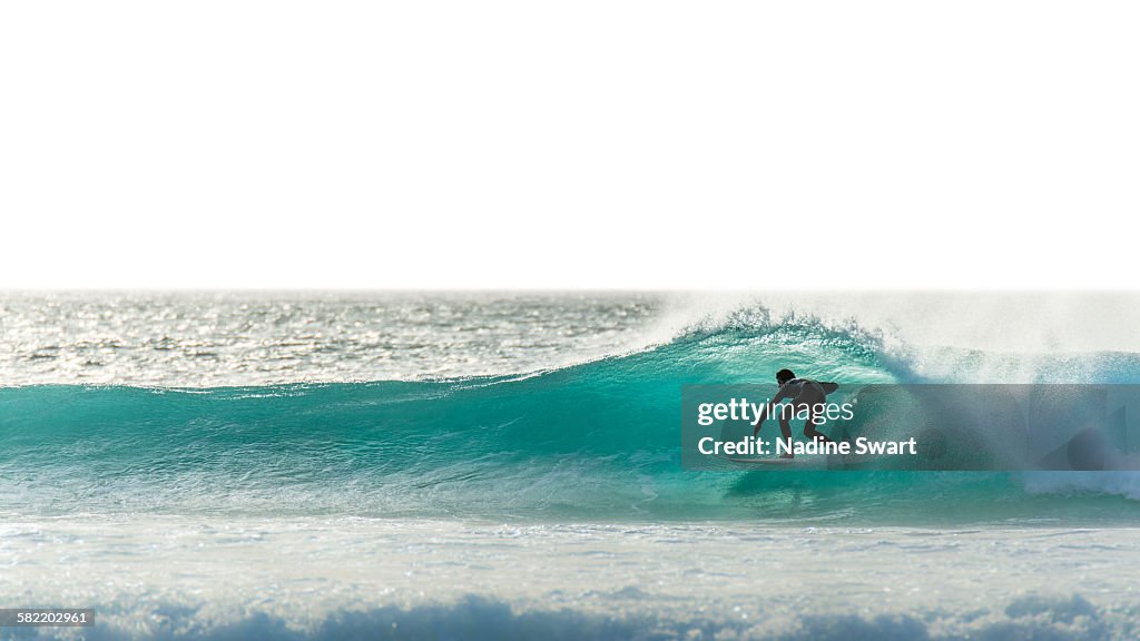 Surfer silhouette on blue wave