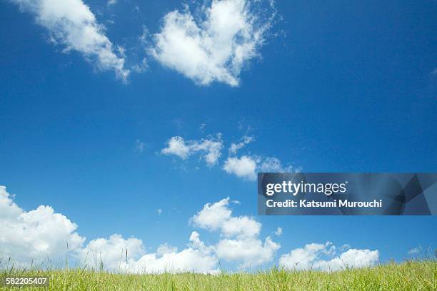 sky and grassland - zona de prados fotografías e imágenes de stock