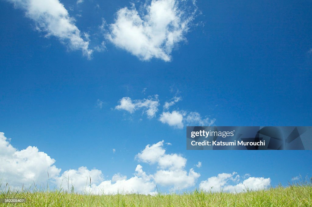 Sky and grassland