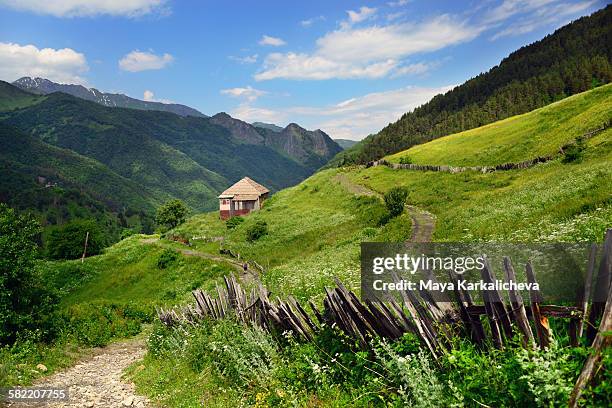 idyllic landscape from svaneti, caucasus mountain - georgia country 個照片及圖片檔