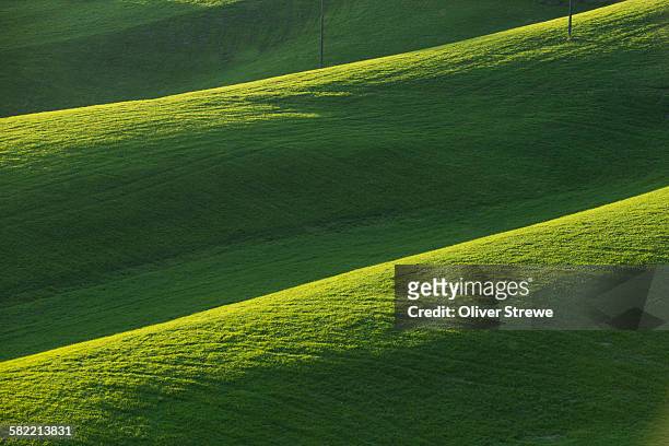 rolling green fields, espelette - espelette france photos et images de collection