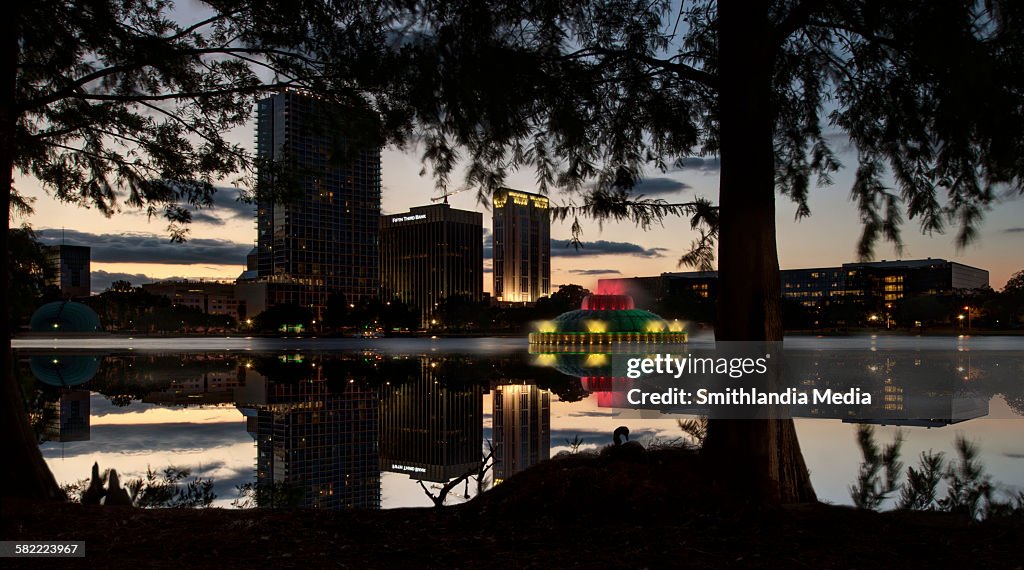 Lake Eola Nighttime Reflections