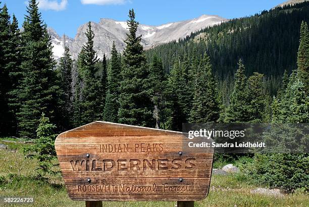 Wilderness Sign Example National Forest Sign Photos and Premium High Res Pictures - Getty Images