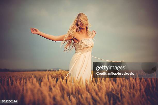 blonde girl in wheat - girl gold dress stock pictures, royalty-free photos & images