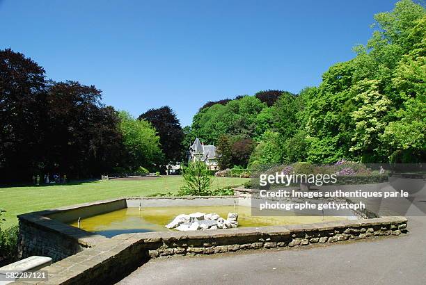 the water pool of colonial park - laken brussel stockfoto's en -beelden