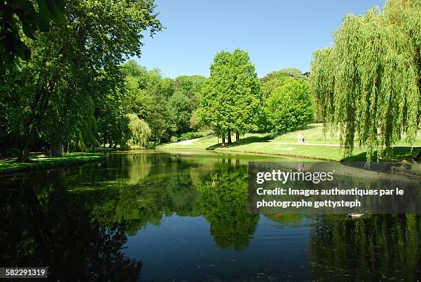 the mirror of laken park - laeken 個照片及圖片檔