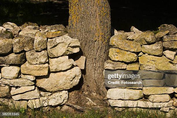 stone fence - saaremaa island stock pictures, royalty-free photos & images