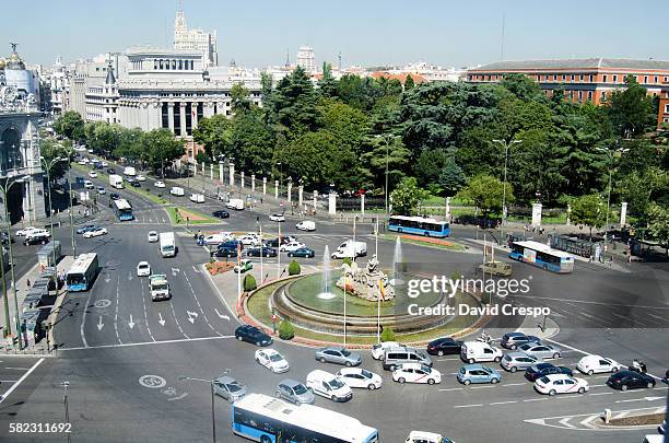 plaza de la cibeles  - madroño del pacífico fotografías e imágenes de stock