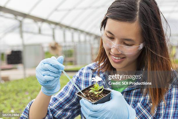 asian college student working on botany - examining plant stock pictures, royalty-free photos & images