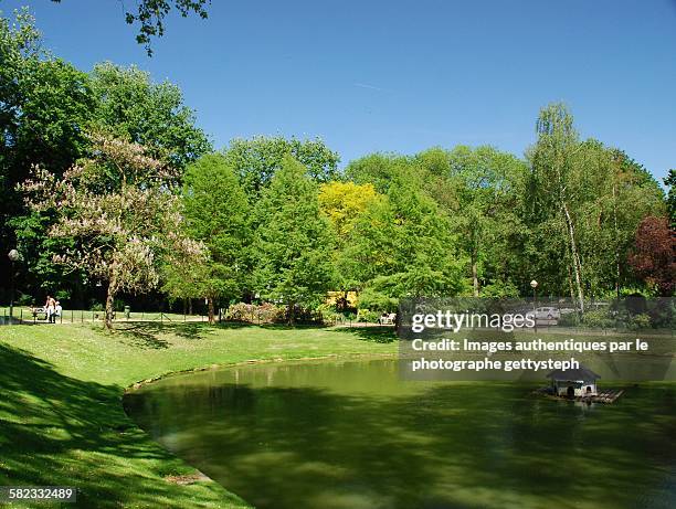 the green pond in the park - laeken 個照片及圖片檔