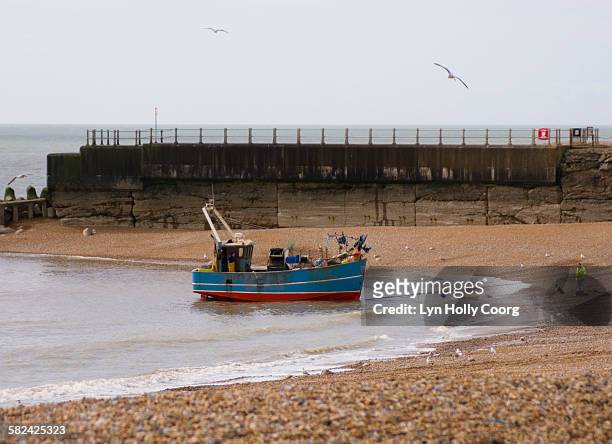 fishing trawler coming onto beach - lyn holly coorg fotografías e imágenes de stock