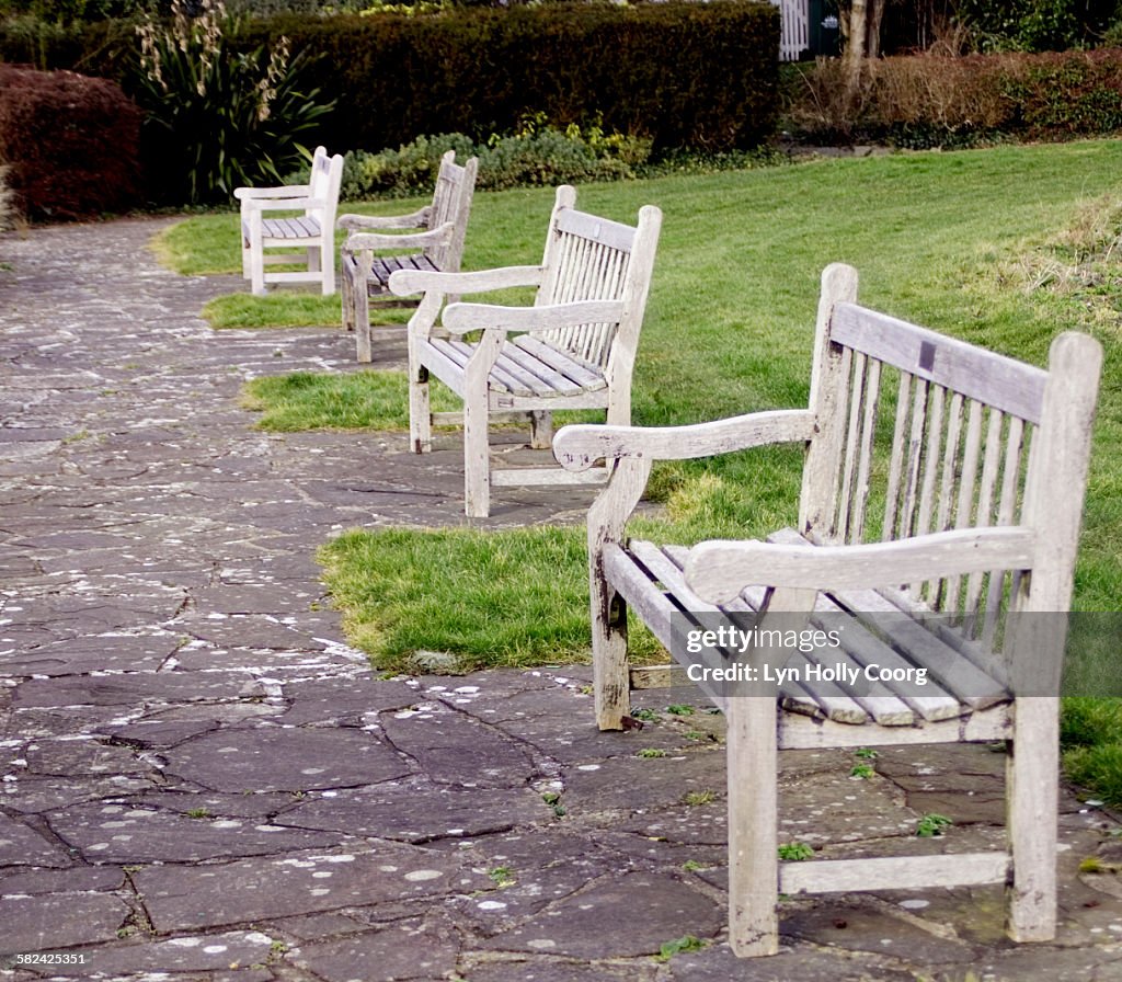 Empty wooden park benches