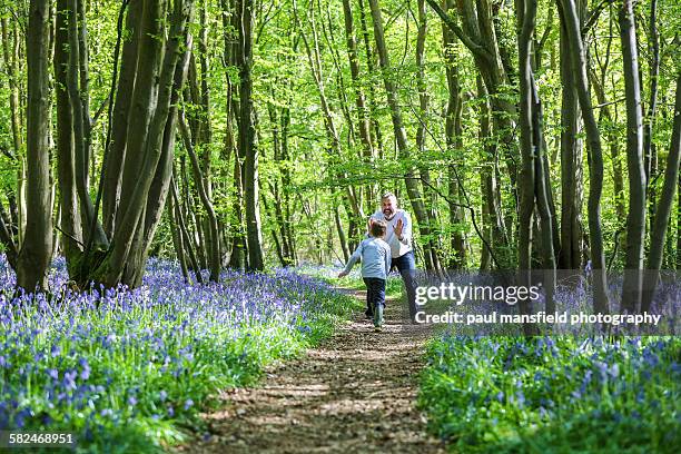 father and son playing in bluebell wood - bluebell wood fotografías e imágenes de stock