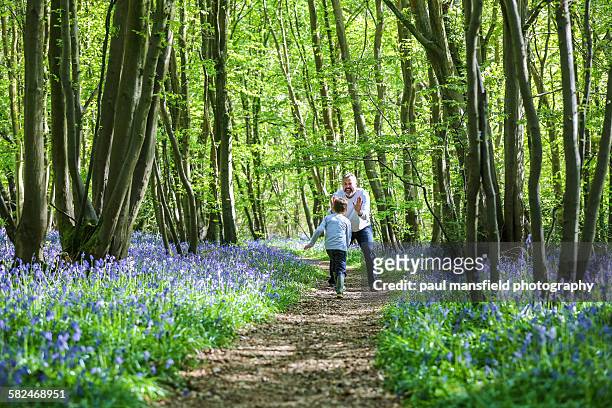 father and son playing in bluebell wood - bluebell wood foto e immagini stock
