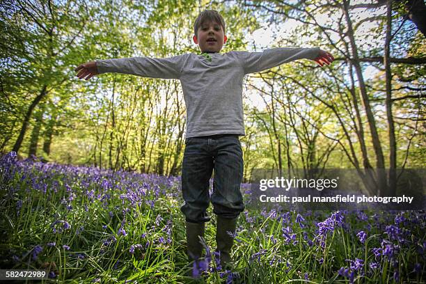 boy with outstreched arms in bluebell wood - ブルーベルウッド ストックフォトと画像