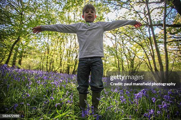 boy with outstreched arms in bluebell wood - bluebell woods imagens e fotografias de stock