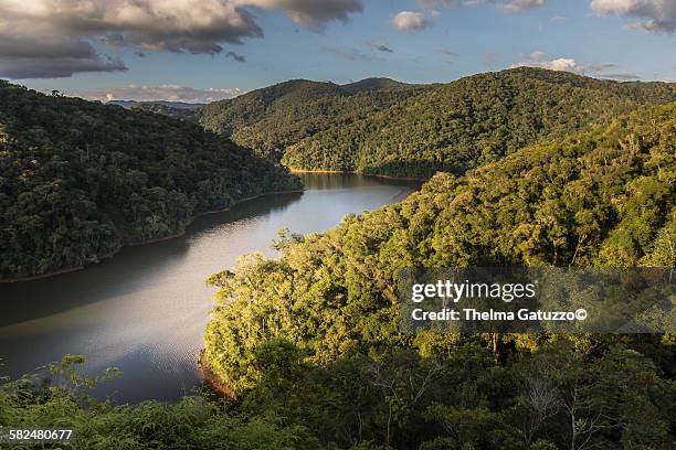 rio juquiá - mata atlantica stock pictures, royalty-free photos & images