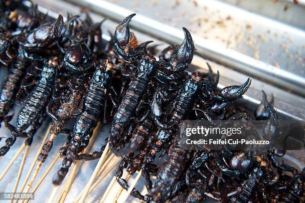 fried scorpion at donghuamen night market, beijing, china - eat insect fotografías e imágenes de stock