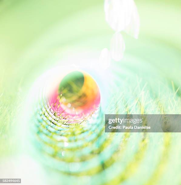 slinky view - colorful slinky stock pictures, royalty-free photos & images