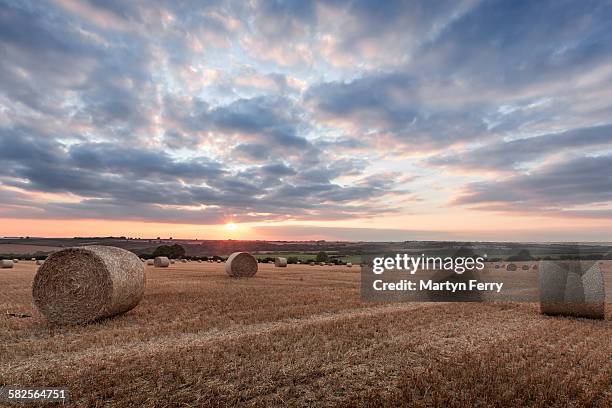 stow hay bales - stow on the wold stock pictures, royalty-free photos & images