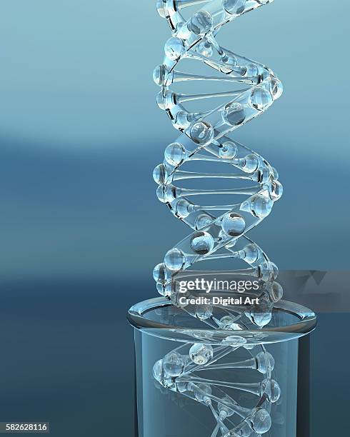 dna molecule model in test tube - genetic code stock pictures, royalty-free photos & images