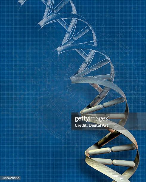 Genescience Drawing 1,030 Genetics Drawing Stock Photos, High-Res Pictures, and Images ...