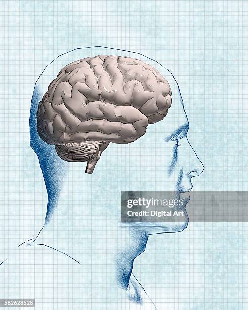 man's brain - human representation stock illustrations