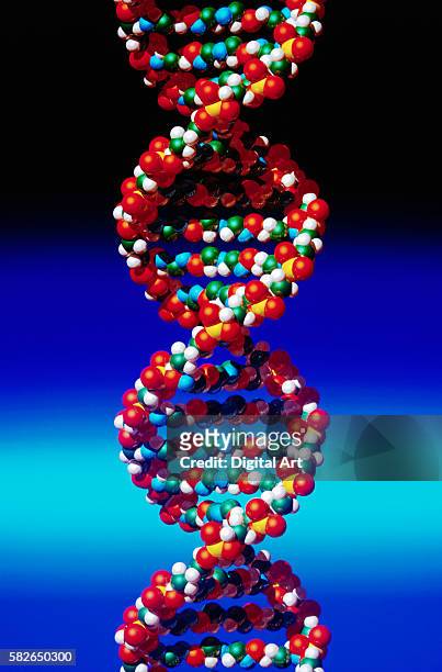 illustrazioni stock, clip art, cartoni animati e icone di tendenza di model of dna molecule - genetic research