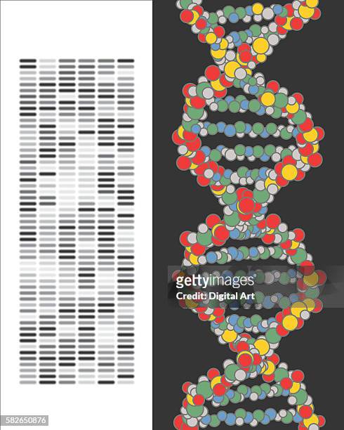 karyotype sheet and dna double helix - 染色体点のイラスト素材／クリップアート素材／マンガ素材／アイコン素材