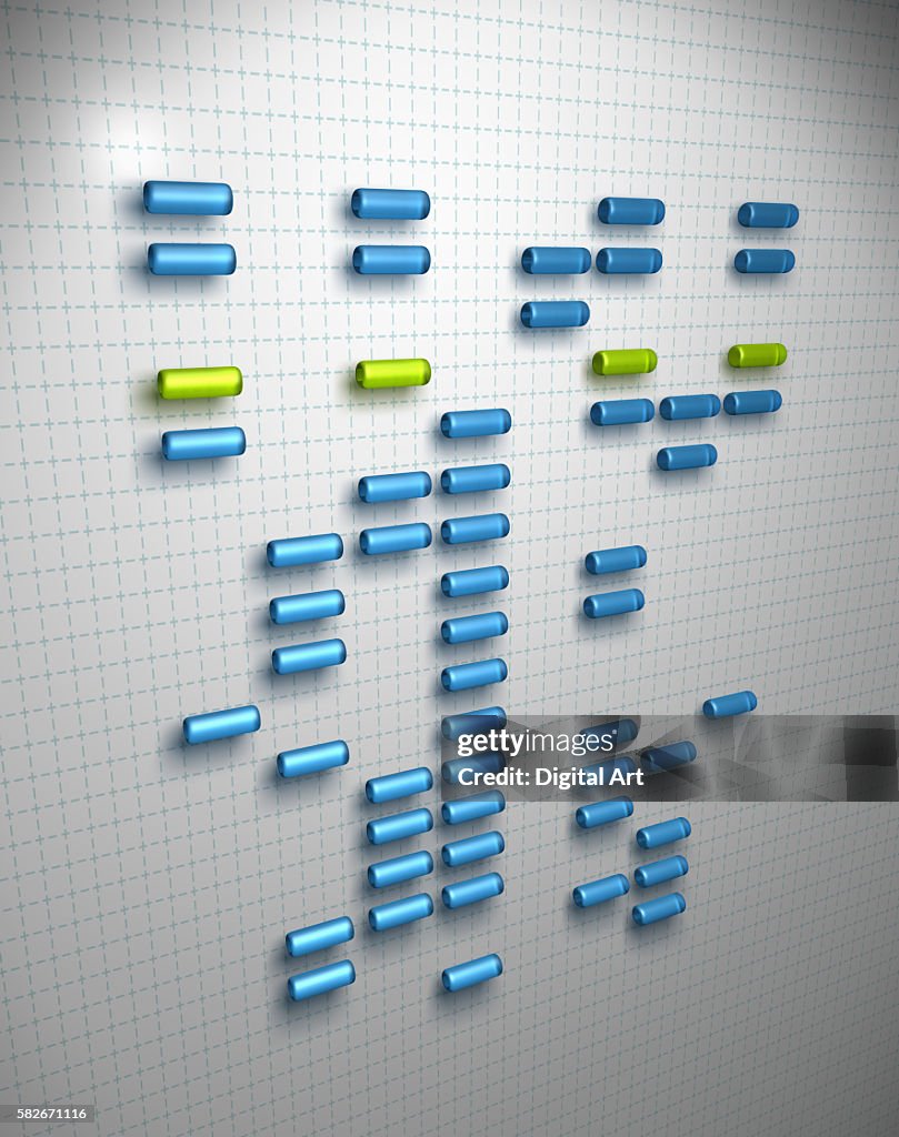 Karyotype Sheet
