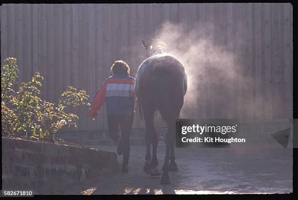 Steam Riding Horses Steam Rising From Horses Back High-Res Stock Photo - Getty Images